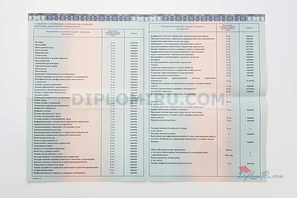 Заполненное приложение к диплому о высшем образовании 2014-2026 года 2 и 3 страницы